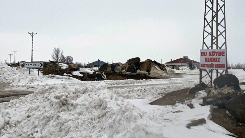 K&ouml;pekte Kuduz Vakasının Tespiti, K&ouml;y Karantinaya Alındı