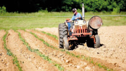 Krediler Kısıtlandı, Ekonomik Kriz Tehlikesi Artıyor