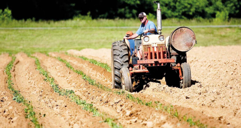 Krediler Kısıtlandı, Ekonomik Kriz Tehlikesi Artıyor
