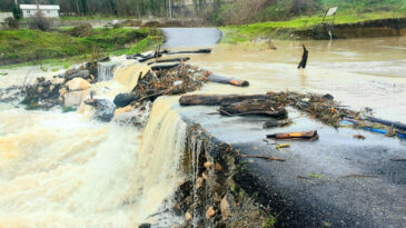 K&uuml;&ccedil;&uuml;k Melen &Ccedil;ayı Taştı: İki K&ouml;y Yolu Ulaşıma Kapandı