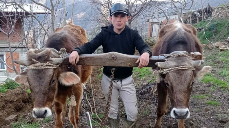 Kuzenlerin Kavgası Cinayetle Sonuçlandı