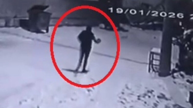 Mahalleye Gelen Kurtları &Ccedil;aydanlıkla Kovaladı