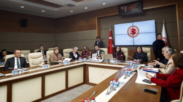 Meclis'te Su&ccedil;a S&uuml;r&uuml;klenen &Ccedil;ocuklara İlişkin Araştırma Komisyonu Toplandı