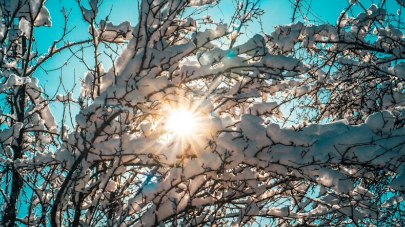 Meteoroloji: 2025 Aralık Ayı, Son 55 Yılın En Sıcak 12. Aralığı Oldu