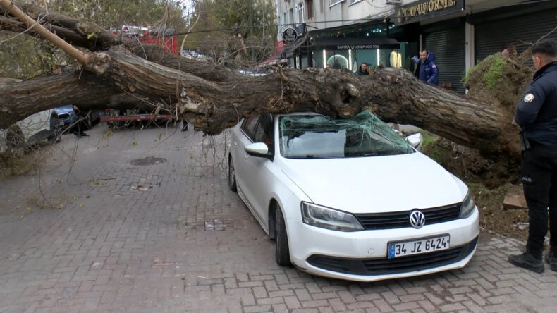 Meteoroloji alarm vermişti: İstanbul'da lodos etkisini artırdı! Ağacın altında kalmaktan saniyelerle kurtuldu