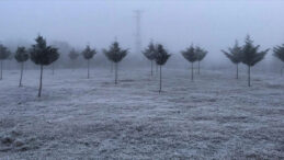 Meteoroloji Uyardı: R&uuml;zgar G&uuml;&ccedil;leniyor, Yağış ve Don Bekleniyor