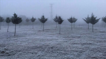 Meteoroloji Uyardı: R&uuml;zgar G&uuml;&ccedil;leniyor, Yağış ve Don Bekleniyor