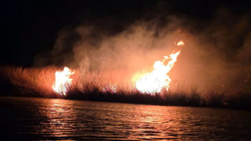Milleyha Kuş Cenneti&rsquo;nde Sazlık Yangını