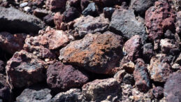 Nadir Toprak Elementlerine Y&ouml;nelik Araştırmada &Ccedil;arpıcı Bulgular