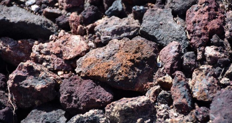 Nadir Toprak Elementlerine Y&ouml;nelik Araştırmada &Ccedil;arpıcı Bulgular