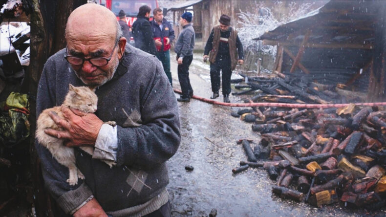 Nefes yazarı Pervin Sümer yazdı: Ali Dede'nin sevimli kedisine ne oldu?