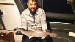 Oltasında K&ouml;pek Balığı Bulundu