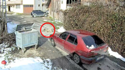 Otomobilin &Ccedil;arpması Sonrası Tedavi Altına Alınan K&ouml;pek Daha &Ouml;nce T&uuml;fekle Vurulmuş