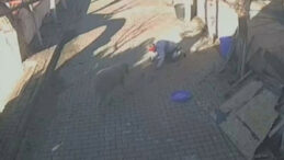 &Ouml;fkeli Ko&ccedil; Sahibine Saldırdı, Hastaneye Kaldırıldı