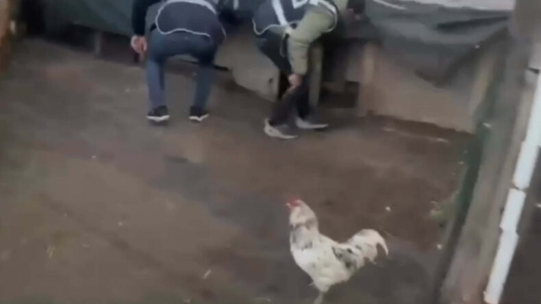 &Ouml;ks&uuml;r&uuml;nce k&uuml;meste yakalandı