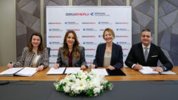 R&ouml;nesans G&ouml;k&ccedil;edağ RES'i Satın Aldı