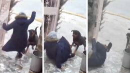 Sahipsiz K&ouml;peklerin Saldırısında Komşu Yardıma Koştu