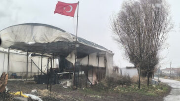 Saksı &ouml;l&uuml;m&uuml;ne sebep olacaktı