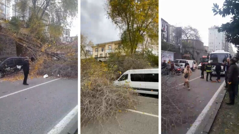 Samsun'da Fırtına Etkisini Gösterdi: Ağaçlar Devrildi, Yol Kapatıldı