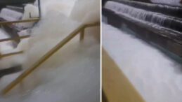 Şebeke Suyundaki K&ouml;p&uuml;klenme Davasında Hapis Cezası Kararı