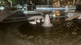 Sıcaklık Eksi 11 Dereceye D&uuml;şt&uuml;: Kuğulu Park Dondu