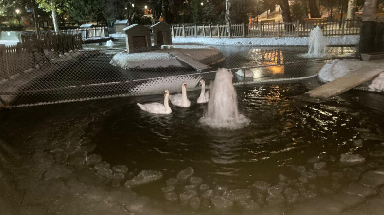 Sıcaklık Eksi 11 Dereceye D&uuml;şt&uuml;: Kuğulu Park Dondu