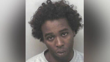 Şok Edici Karar: İki Kişiyi &Ouml;ld&uuml;reni Devlet Tazminatla &Ouml;d&uuml;llendirecek