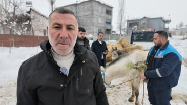 Sokağa Terk Edilen Hayvanlara Sahip &Ccedil;ıkan Besiciye Yem Desteği