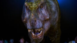 T-Rex'lerle İlgili Şaşırtıcı Araştırma: 40 Yaşına Gelince…