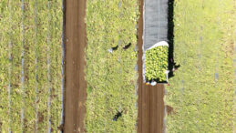 Tarımda 2026, Zorlu Bir D&ouml;nem Bekliyor