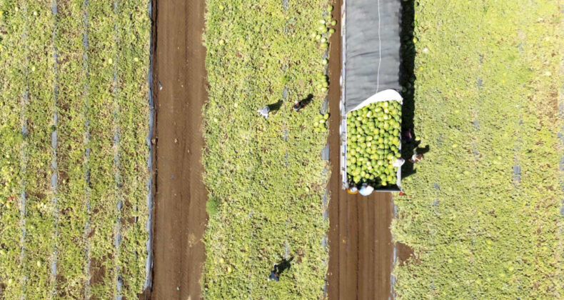 Tarımda 2026, Zorlu Bir D&ouml;nem Bekliyor