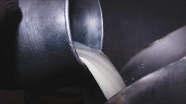 Tepkiler B&uuml;y&uuml;yor: &Ccedil;iğ S&uuml;t Fiyatı En Az 27 TL Olmalı