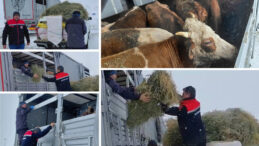 Tipi nedeniyle mahsur kalan TIR'daki hayvanlara tahıl ve saman yardımı