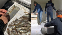 Tonlarca Balığa El Konuldu