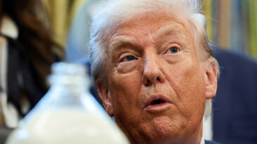 Trump'tan Rıza Pehlevi &Uuml;zerine Değerlendirme: Olumlu İzlenimler Var Ama…