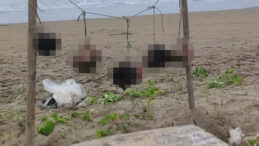 Turizm Cennetinde Dehşet: Beş Kesik Kafa Bulundu