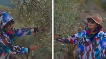 &Uuml;nl&uuml; Oyuncu Mehtap Bayri, K&ouml;yde Zeytin Markası Kurdu: Yarım Litre 825 TL