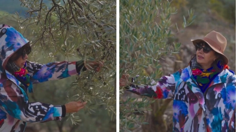 &Uuml;nl&uuml; Oyuncu Mehtap Bayri, K&ouml;yde Zeytin Markası Kurdu: Yarım Litre 825 TL