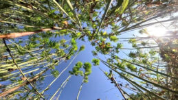 &Uuml;retim i&ccedil;in son tarih uyarısı: Başvurular 1 Nisan'da bitiyor