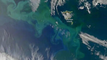 Uzaydan G&ouml;r&uuml;lebilen Tehlikeli Okyanus Gelişmeleri