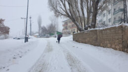 Van&rsquo;da Kar Esareti: 90 Yerleşim Yerine Ulaşım Sağlanamıyor