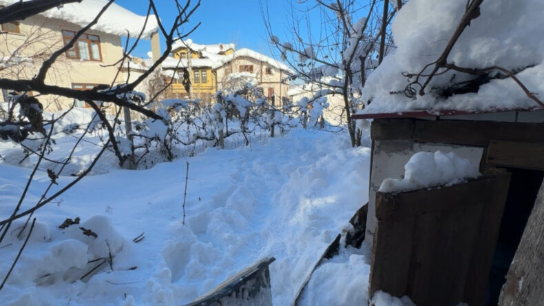 Yaşlı Kadın Bahçesinde Donarak Hayatını Kaybetti