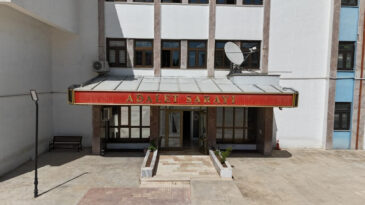 Yavru K&ouml;peğe Eziyet Eden Kişi Tutuklandı