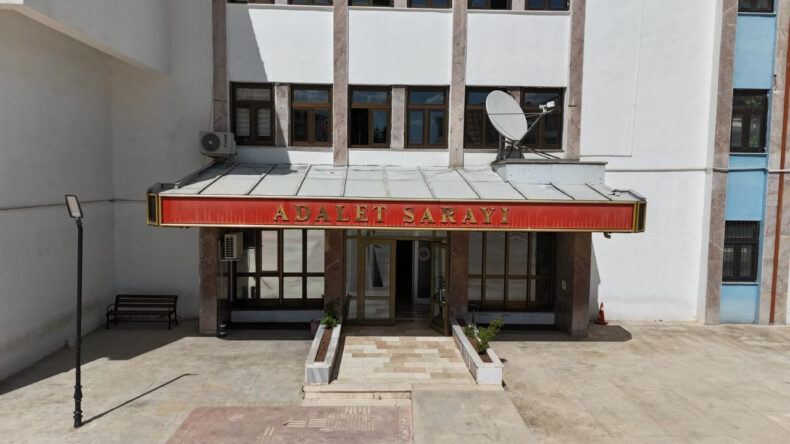 Yavru Köpeğe Eziyet Eden Kişi Tutuklandı