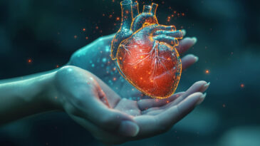 Yeni Araştırma: Diyabet Kalbin Yapısını Değiştiriyor