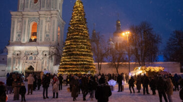 Yeni Yıl Mesajındaki İfadeler Krize Yol A&ccedil;tı