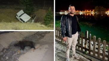 Yola &Ccedil;ıkan Domuz Can Aldı: 24 Yaşındaki S&uuml;r&uuml;c&uuml; Hayatını Kaybetti