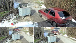 Yolda Yatan K&ouml;peğe &Ccedil;arpıp Devam Eden S&uuml;r&uuml;c&uuml;