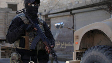 YPG/SDG, Suriye'de Gazetecilere Saldırdı