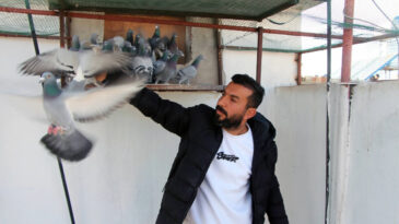 'Evladını' Bulup Getirene &Ouml;d&uuml;l Verecek